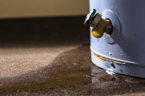 Best Basement water damage restoration  in Simonton Lake, IN