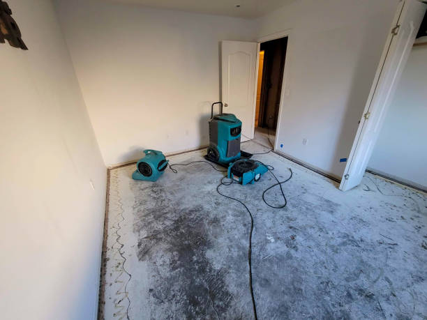 Best Commercial water damage restoration  in Simonton Lake, IN