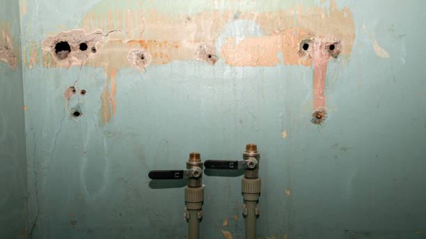 Best Flooded house restoration  in Simonton Lake, IN