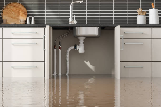 Best Water damage contractors near me  in Simonton Lake, IN